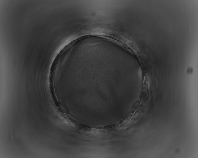 X0000101140292200807181301