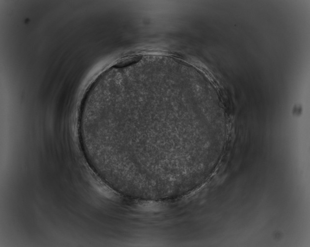 X0000101140293200807181301