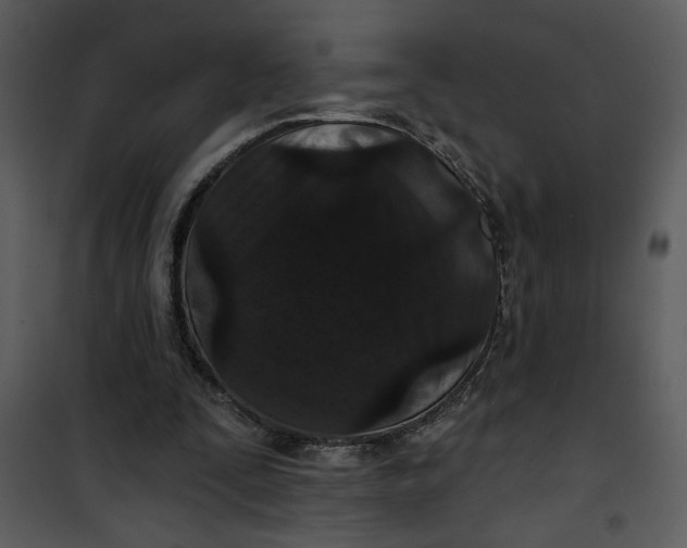 X0000101140295200807181301