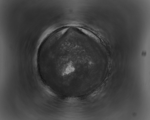 X0000101140296200807181301