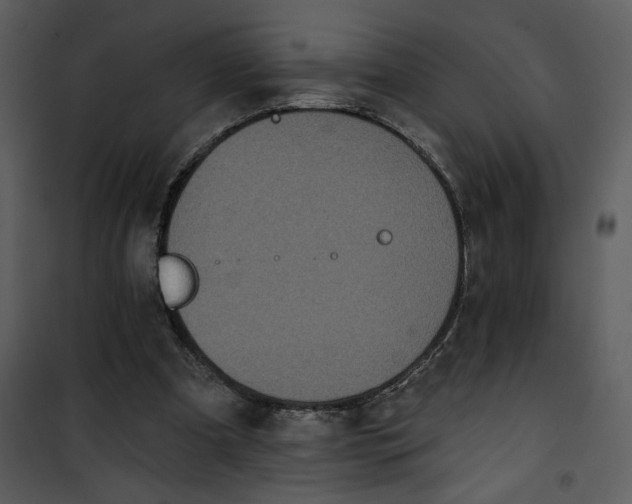 X0000101140297200807181301