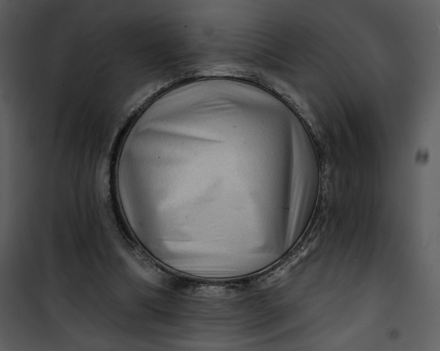 X0000101140298200807181301