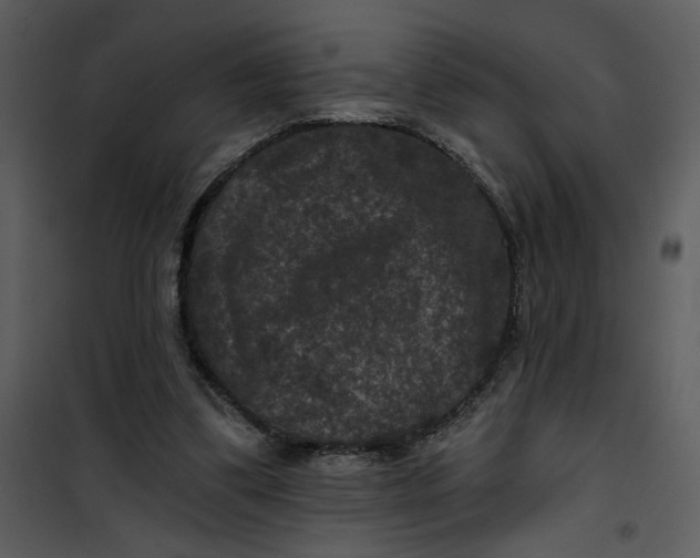 X0000101140299200807181301