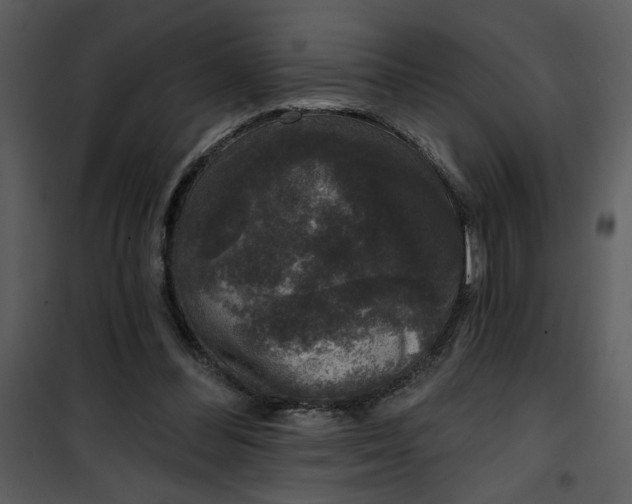 X0000101140300200807181301