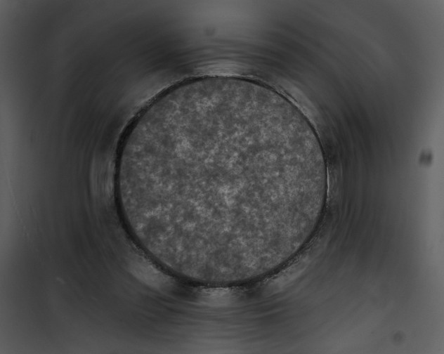 X0000101140301200807181301