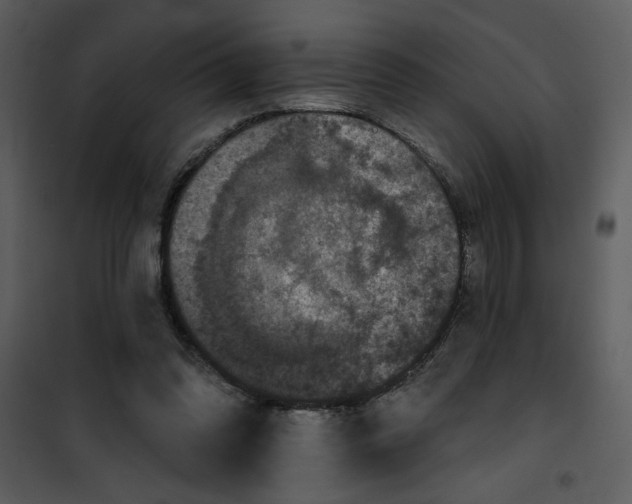 X0000101140302200807181301