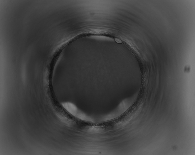 X0000101140303200807181301