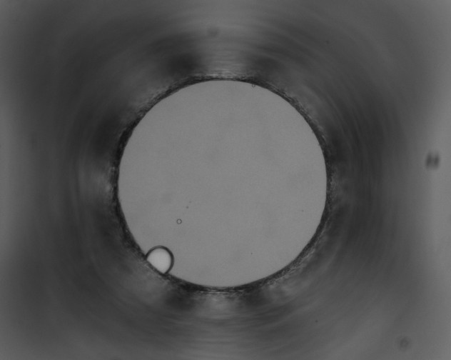 X0000101140305200807181301