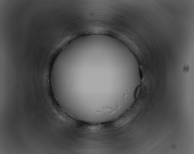 X0000101140306200807181301