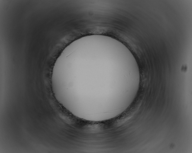 X0000101140307200807181301