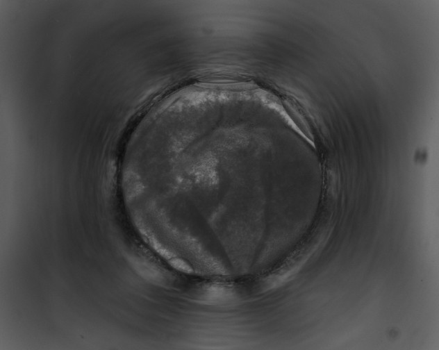 X0000101140308200807181301