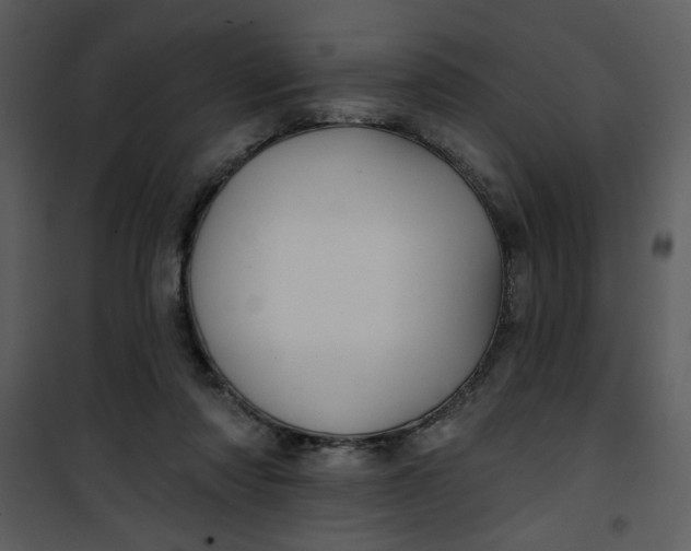 X0000101140310200807181301