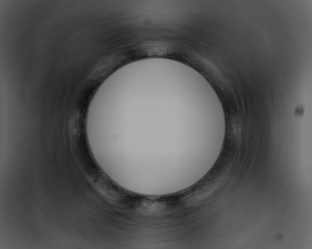 X0000101140311200807181301