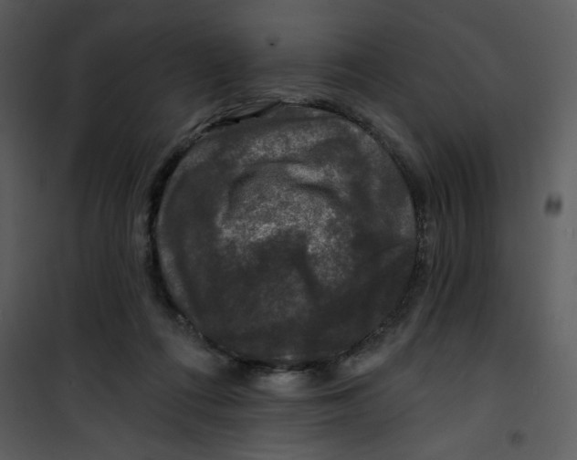 X0000101140312200807181301