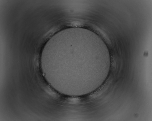 X0000101140313200807181301