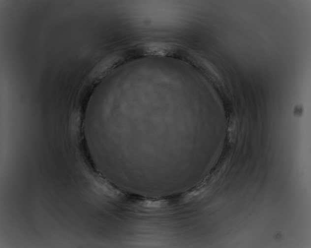 X0000101140314200807181301