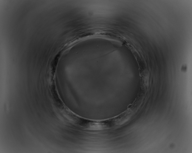 X0000101140316200807181301