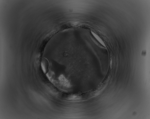 X0000101140319200807181301