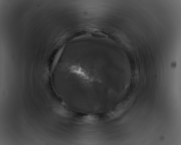 X0000101140320200807181301