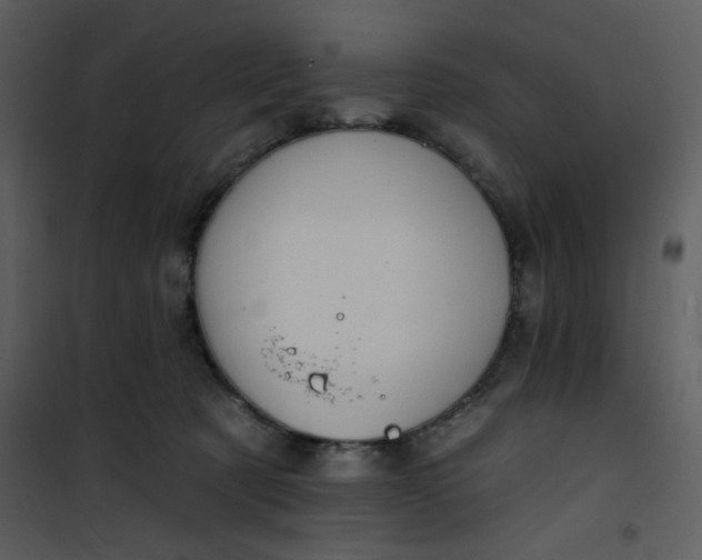 X0000101140321200807181301