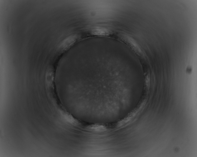 X0000101140322200807181301