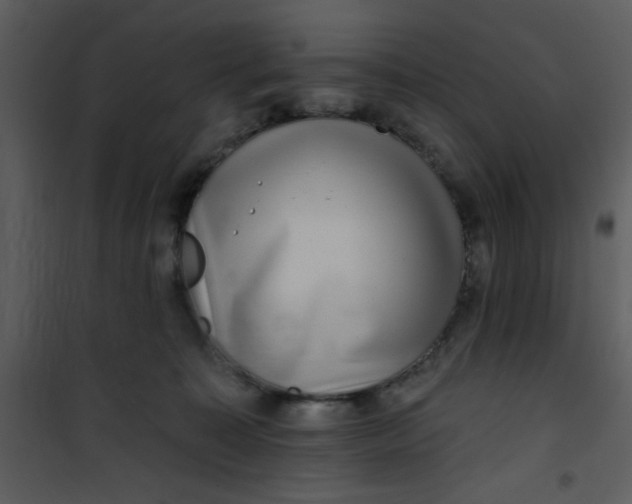 X0000101140323200807181301