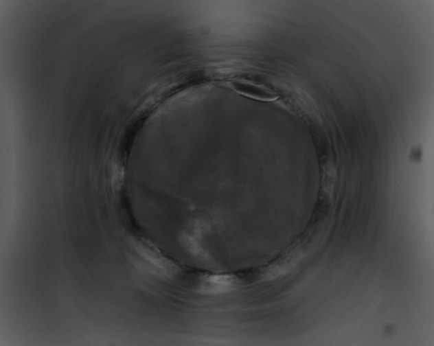 X0000101140324200807181301