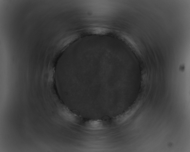 X0000101140325200807181301