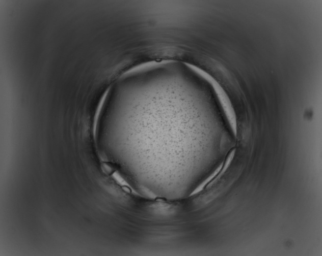 X0000101140326200807181301