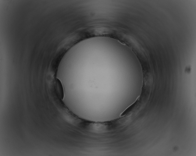 X0000101140327200807181301