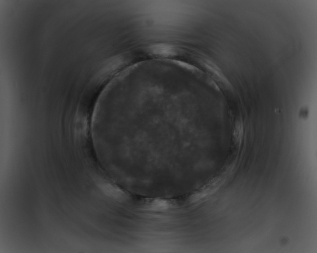 X0000101140330200807181301