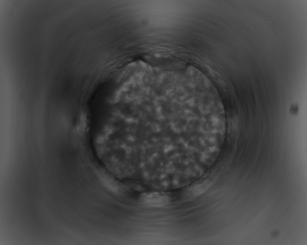 X0000101140331200807181301