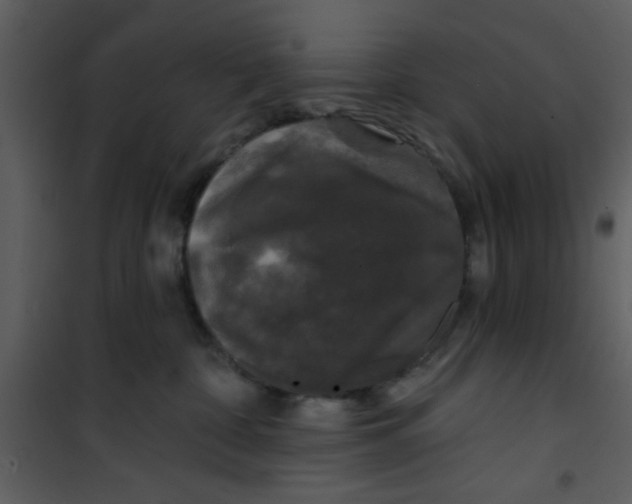 X0000101140332200807181301