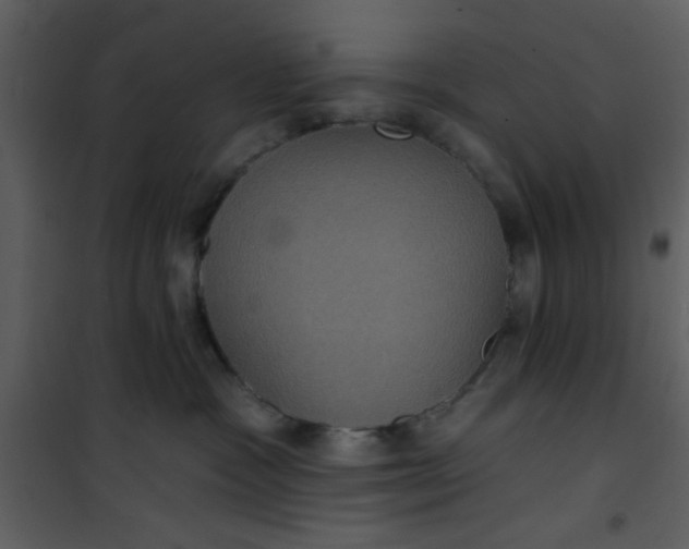 X0000101140333200807181301