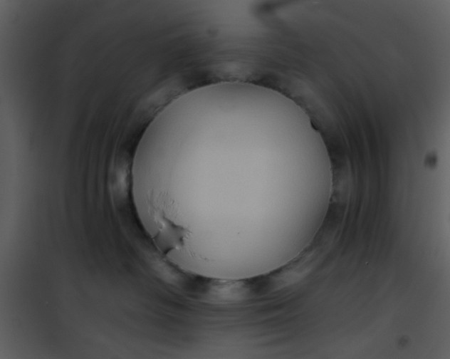 X0000101140334200807181301