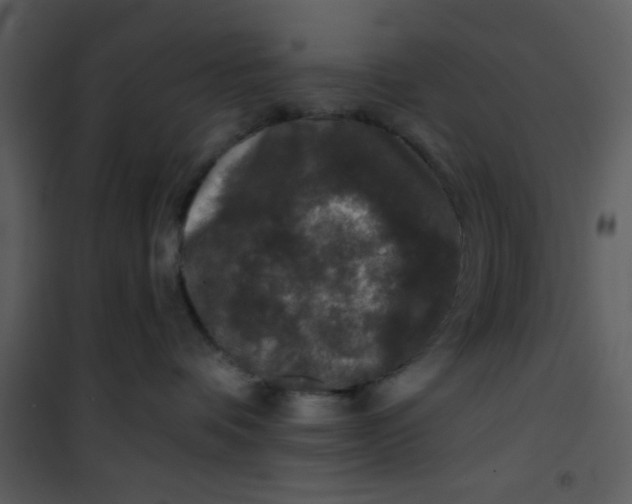 X0000101140336200807181301