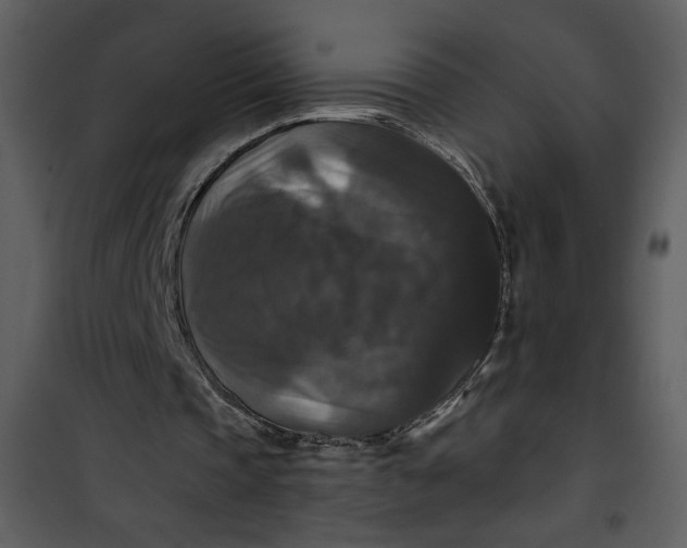 X0000101140337200807181300