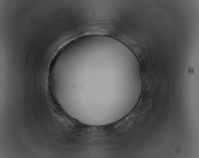 X0000101140338200807181300