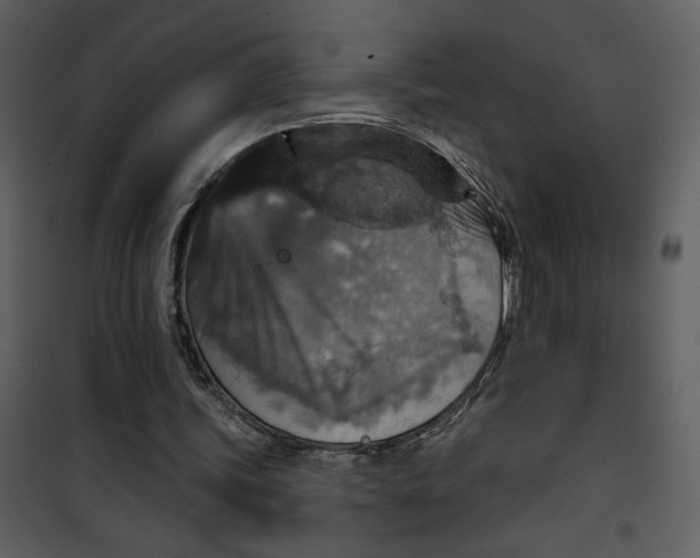 X0000101140339200807181300