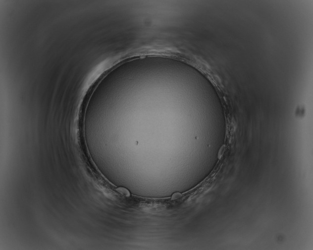 X0000101140340200807181300