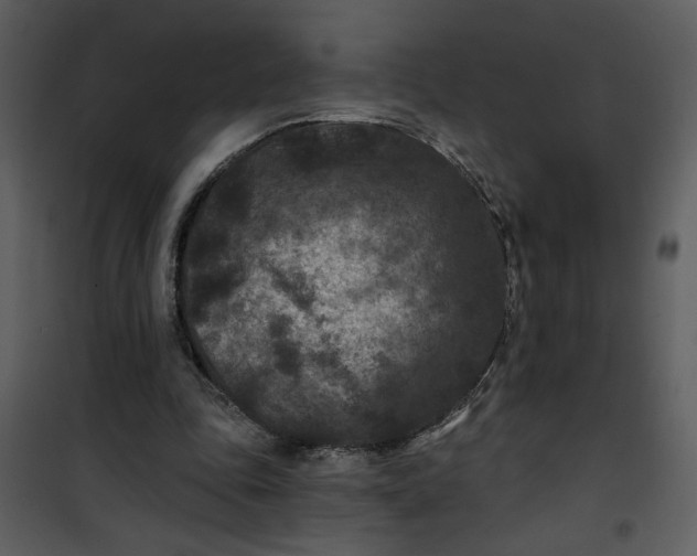 X0000101140343200807181300