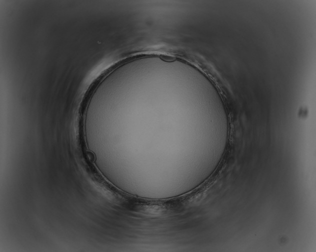 X0000101140344200807181300