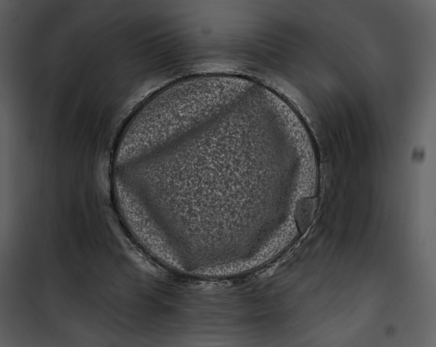 X0000101140345200807181300