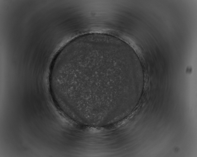 X0000101140346200807181300