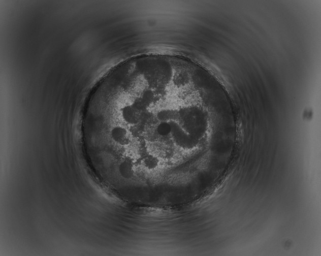 X0000101140347200807181300