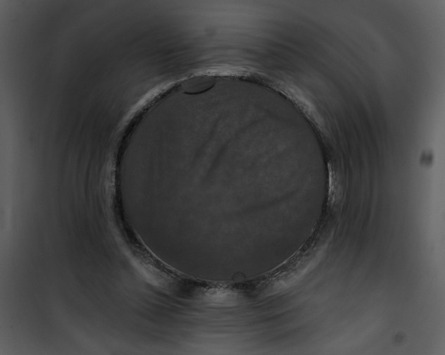 X0000101140348200807181300