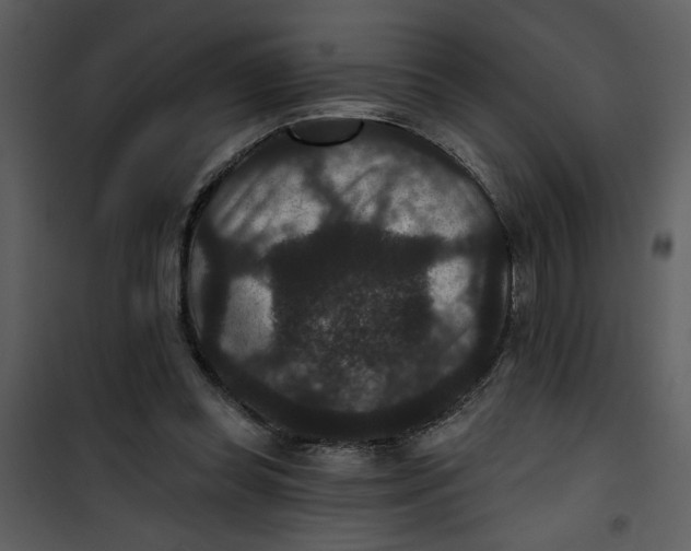 X0000101140349200807181300