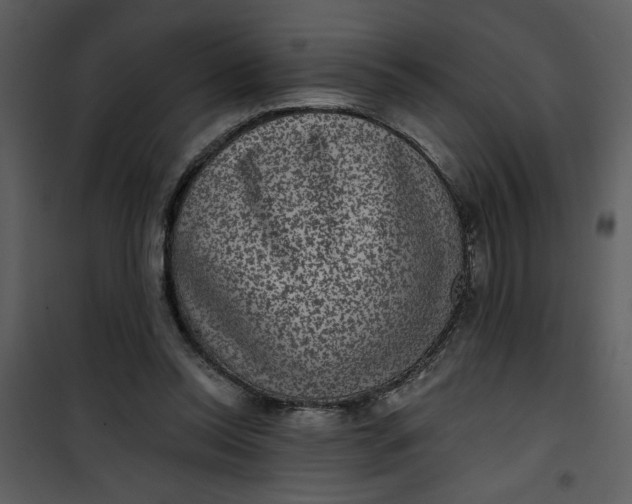 X0000101140350200807181300