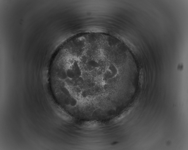 X0000101140351200807181300