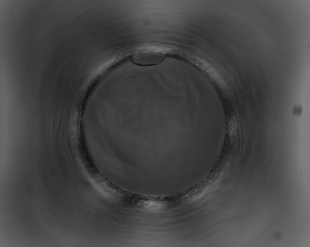 X0000101140352200807181300